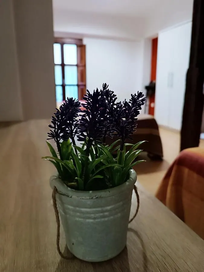 Corrala De San Anton. Sencillo Apartamento En Pleno Centro Granada